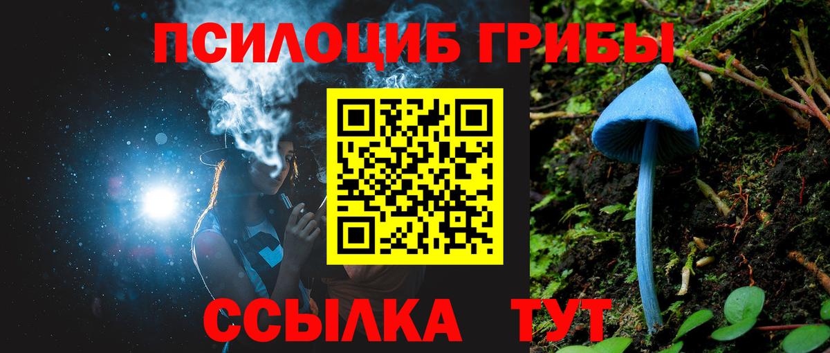 Ипатово  Псилоцибиновые грибы мицелий  Псилоцибиновые грибы прущие грибы  Вход с VPN 